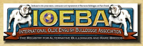 eveb1001001.jpg